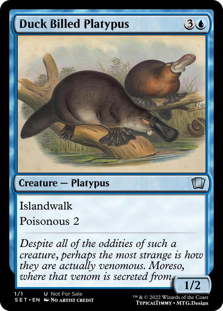 Duck Billed Platypus