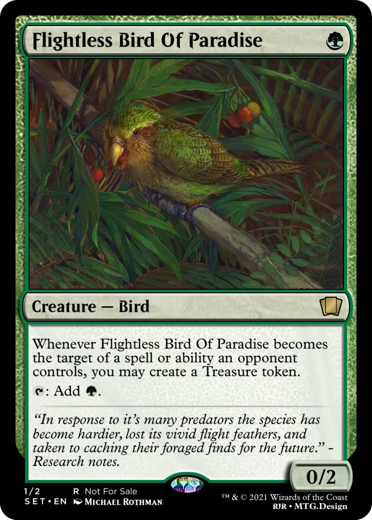 Flightless Bird Of Paradise Bop Has Adapted To All The Removal